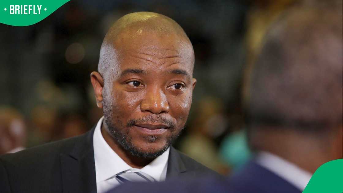 Build One SA (Bosa) leader Dr Mmusi Maimane Build One SA (Bosa) leader Dr Mmusi Maimane