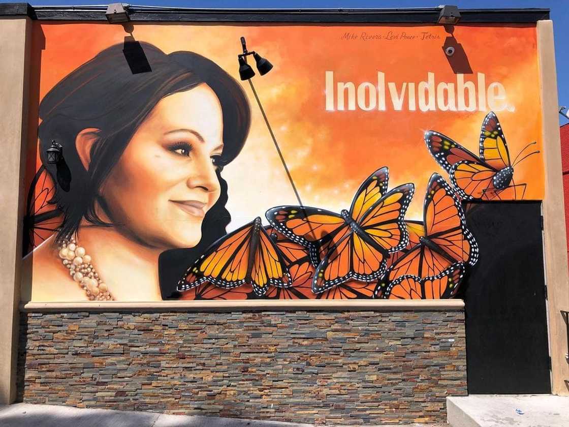 Michael Marín Rivera Michael Marín Rivera