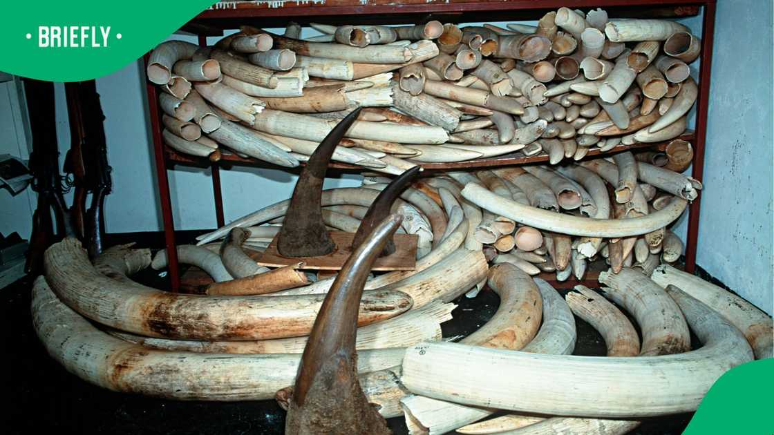 The report stated that Facebook has become the central public infrastructure The report stated that Facebook has become the central public infrastructure