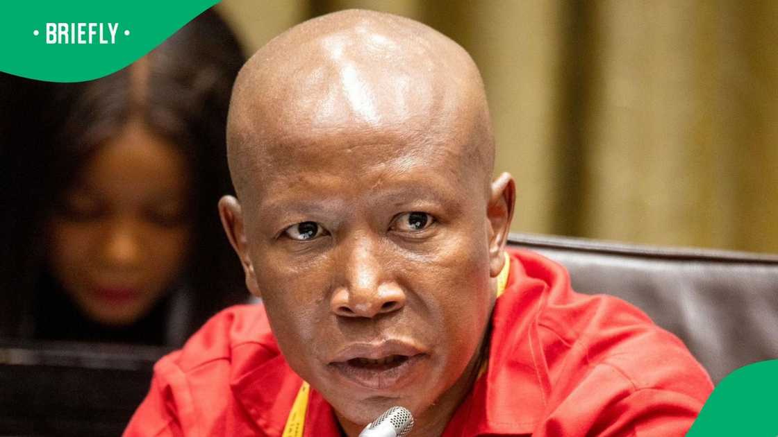 EFF President Julius Malema slammed Parliament's legal advisor EFF President Julius Malema slammed Parliament's legal advisor