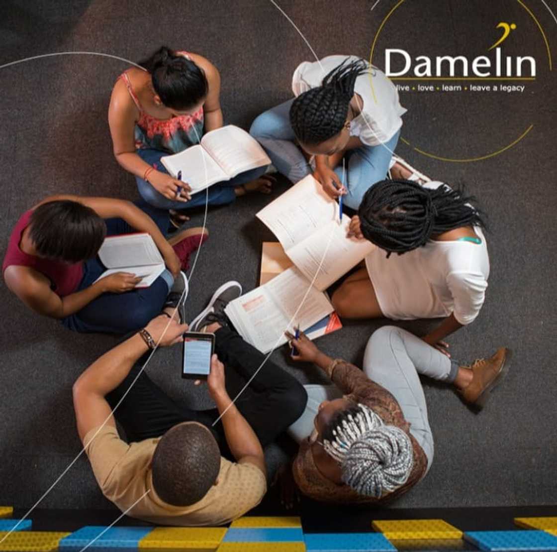 Damelin courses and fees 2021