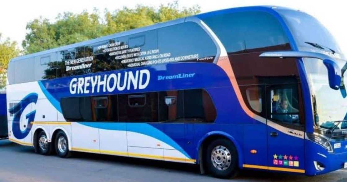After almost 4 decades, Greyhound, closes doors, SA, reacts After almost 4 decades, Greyhound, closes doors, SA, reacts
