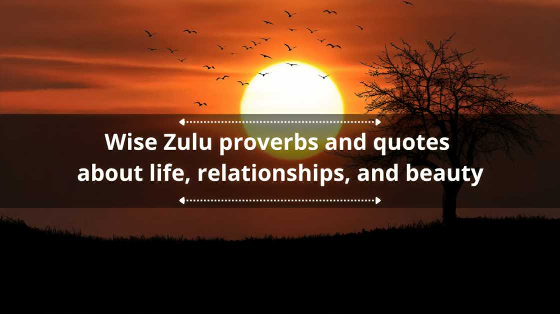 Zulu proverbs and quotes