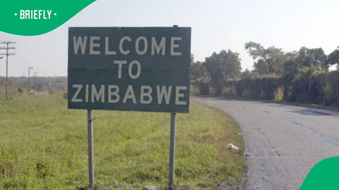 Zimbabwean woman roasts citizens returning from South Africa by force Zimbabwean woman roasts citizens returning from South Africa by force