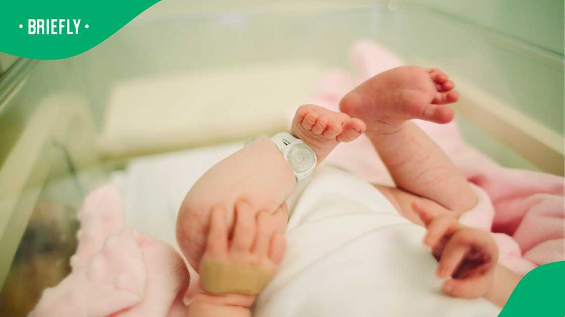 South Africa celebrated the arrival of 2026 with the birth of 1669 babies