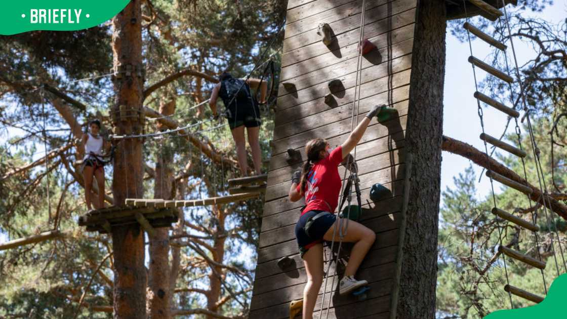 Wall climbing activity