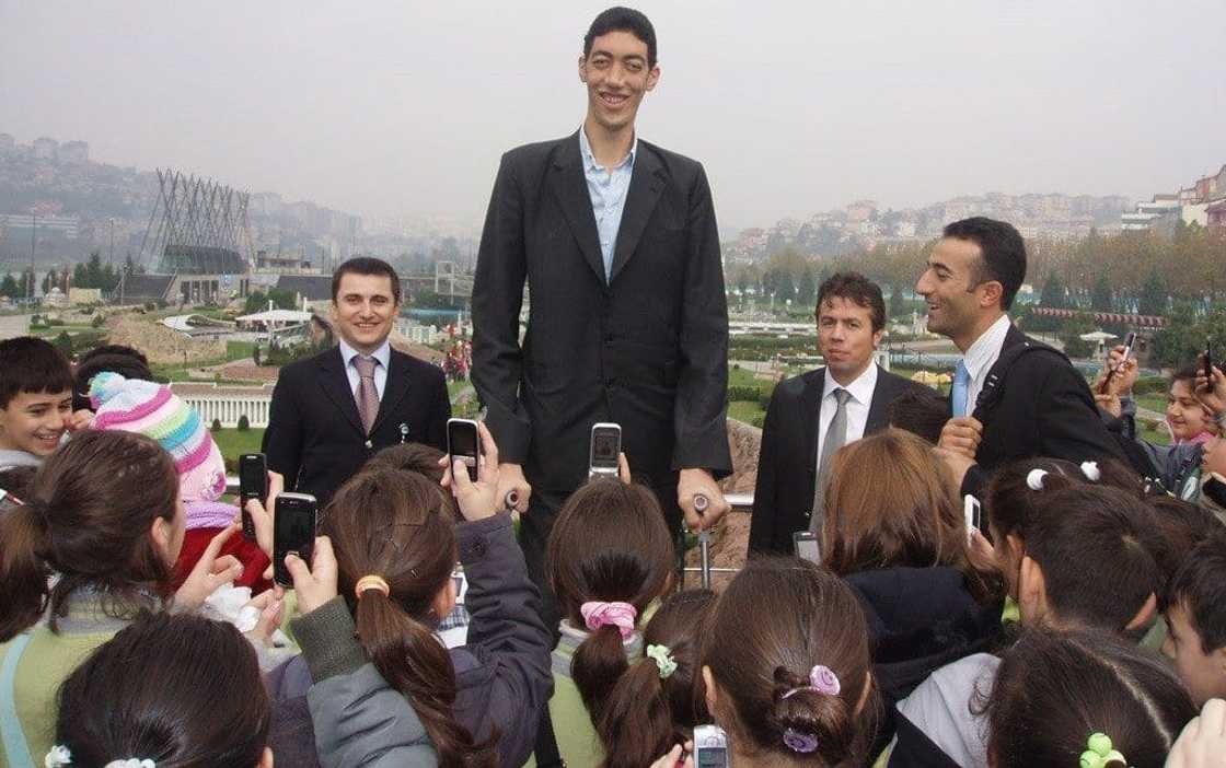 List of the tallest man in the world List of the tallest man in the world