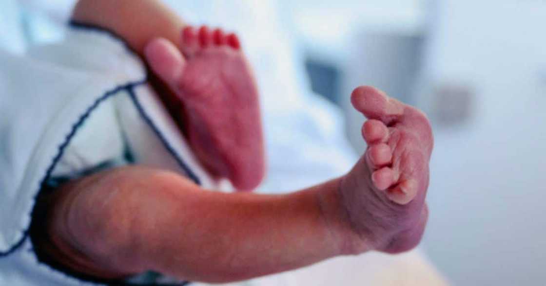 Gauteng public hospitals welcomed 112 babies on New Year’s Day