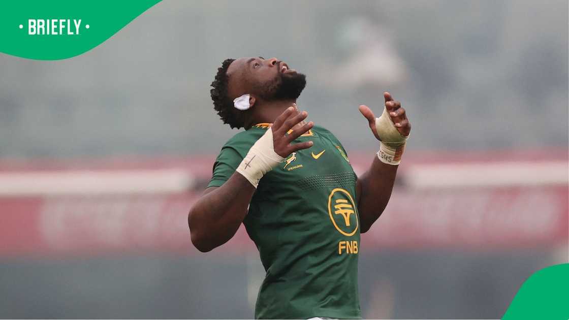Siya Kolisi, Rugby Championship, South Africa, Argentina.