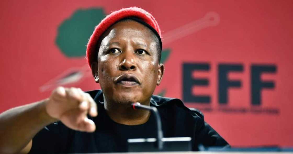 Julius Malema, EFF, Democratic Alliance, John Steenhuisen, Politics 101 class, coalitions, Gauteng metros Julius Malema, EFF, Democratic Alliance, John Steenhuisen, Politics 101 class, coalitions, Gauteng metros