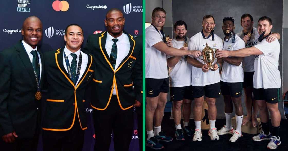 The Springbok team that won the World Cup deserve bonuses, SA believes