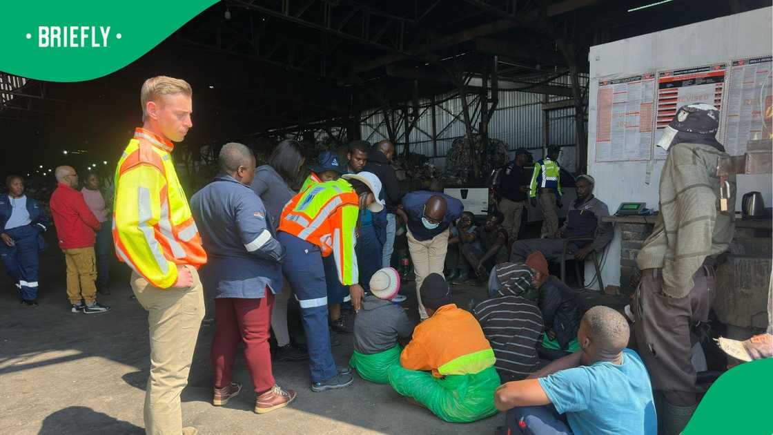 A joint operation involving the provincial Environment Department, Home Affairs, Labour, SAPS, and other stakeholders resulted in the arrest A joint operation involving the provincial Environment Department, Home Affairs, Labour, SAPS, and other stakeholders resulted in the arrest