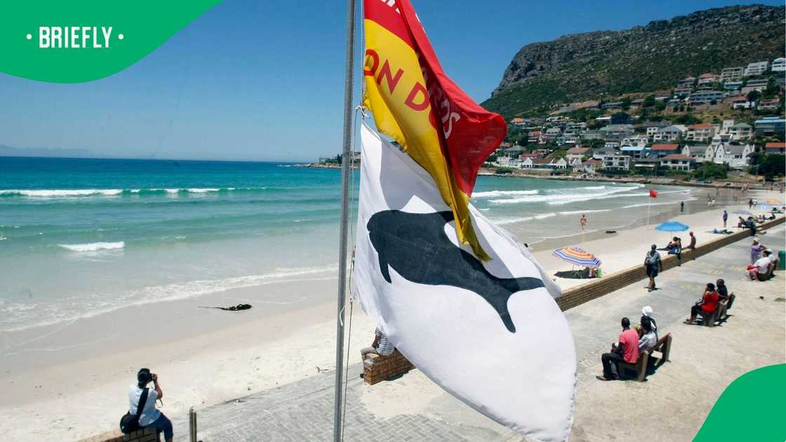 KwaZulu-Natal police are investigating the discovery of a body on Durban’s beachfront