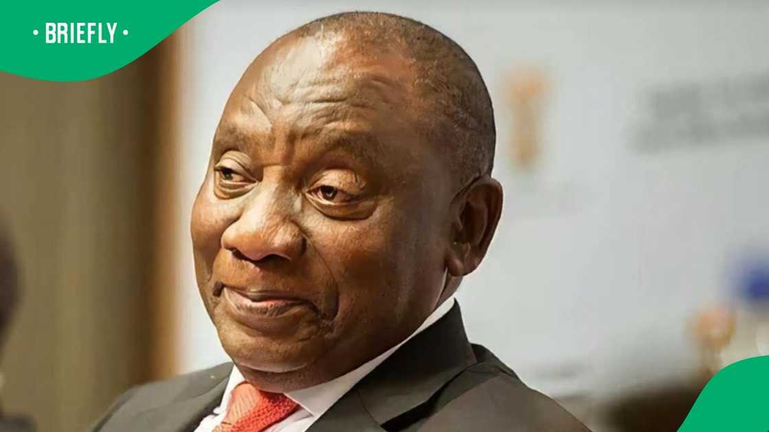 SA reimagines their president