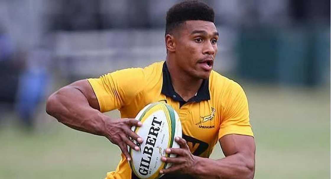 Damian Willemse rugby