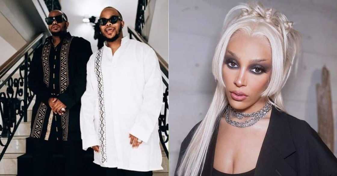 Major League DJz, collab, Doja Cat, yanos track Major League DJz, collab, Doja Cat, yanos track