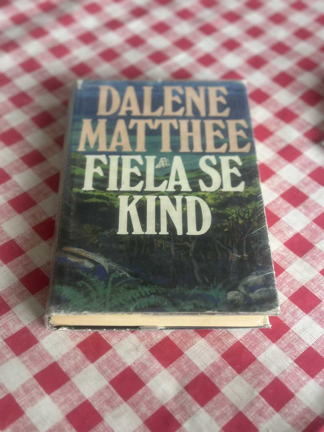 A picture of the book 'Fiela se Kind.' A picture of the book 'Fiela se Kind.'
