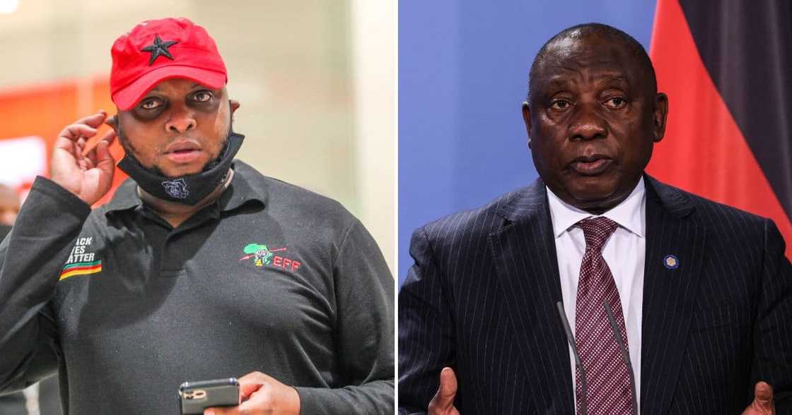 EFF Presser, Cyril Ramaphosa, farm robbery, footage, EFF, evidence manufactured