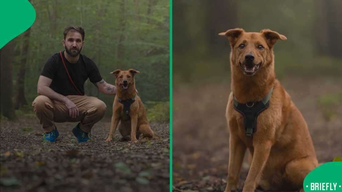 A video went viral. A video went viral.