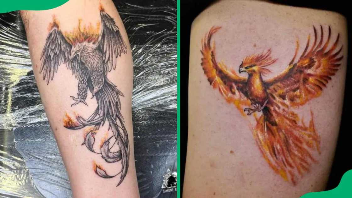 Fiery phoenix tattoos Fiery phoenix tattoos