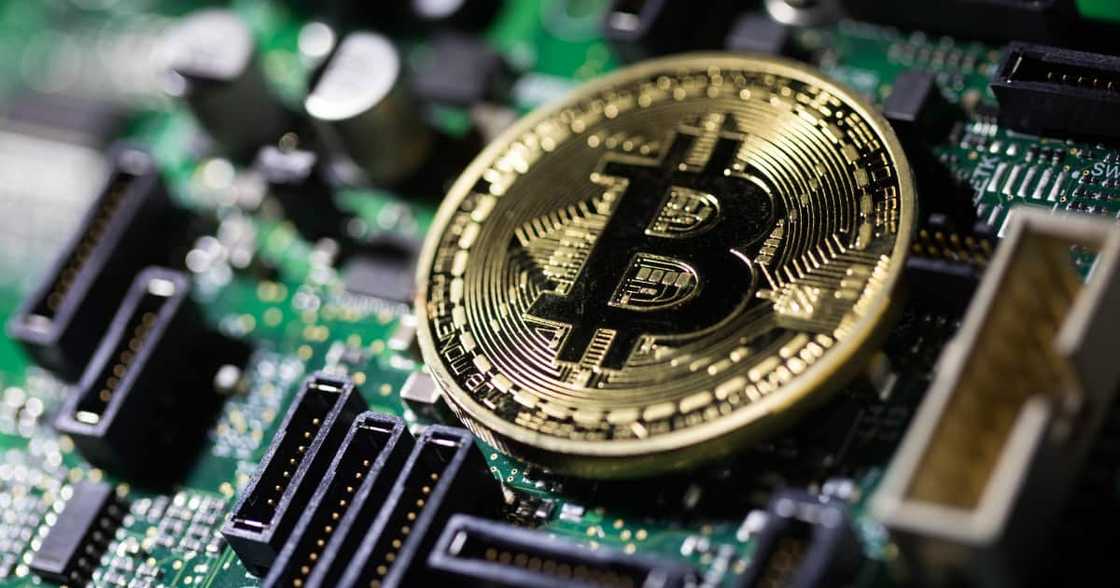 Bitcoin, South African brothers, Africrpyt hack Bitcoin, South African brothers, Africrpyt hack
