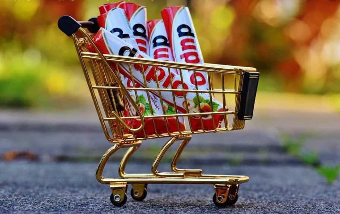 One Day Only One Day Only