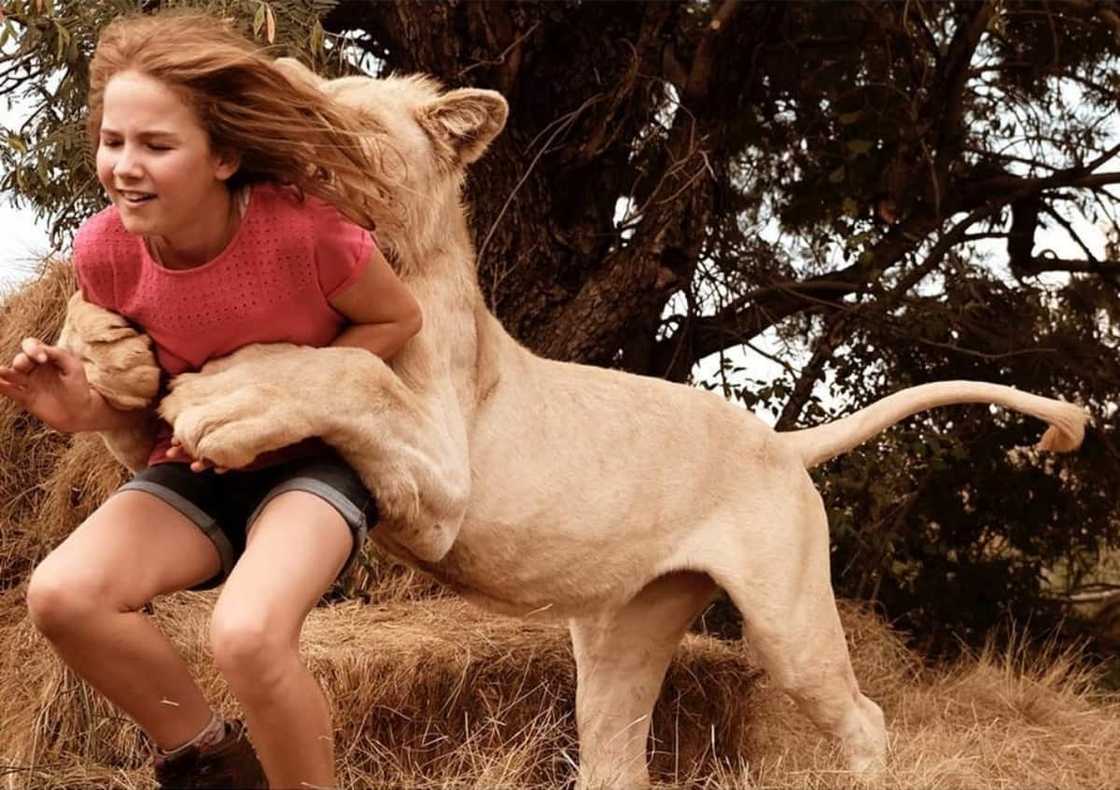 Daniah de Villiers bio: age, family, education, Thor, movies, profiles, net worth Daniah de Villiers bio: age, family, education, Thor, movies, profiles, net worth