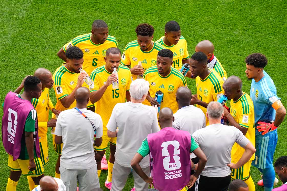 South Africa, Bafana Bafana, FIFA World Cup, Hugo Broos South Africa, Bafana Bafana, FIFA World Cup, Hugo Broos