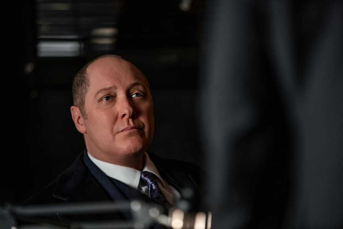 The Blacklist on NBC cast