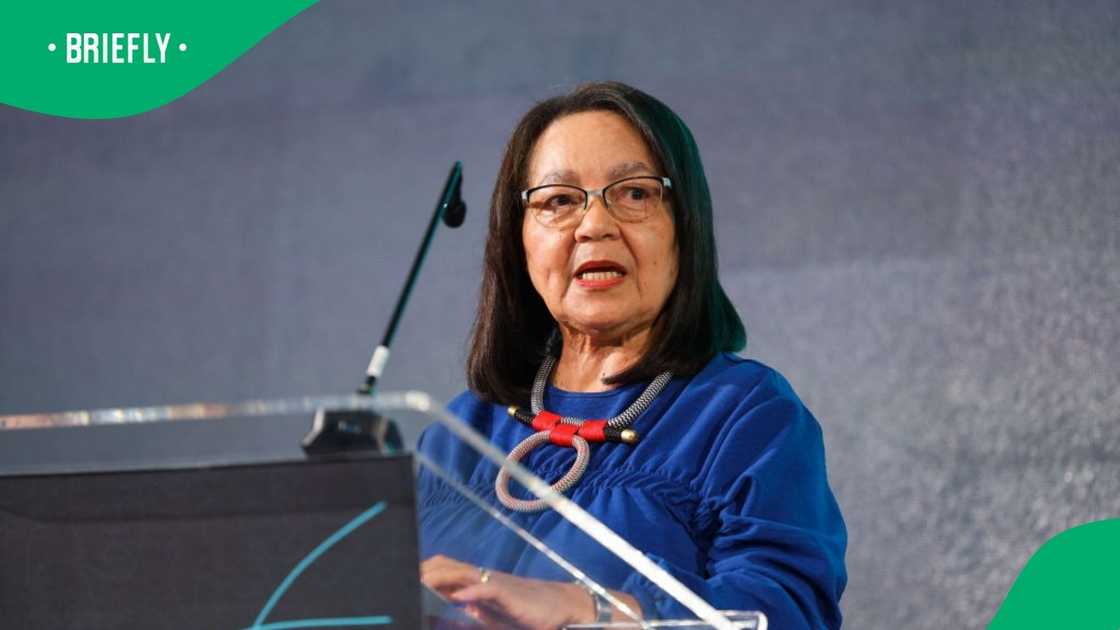 Tourism Minister Patricia De Lille dissolved the SA Tourism board