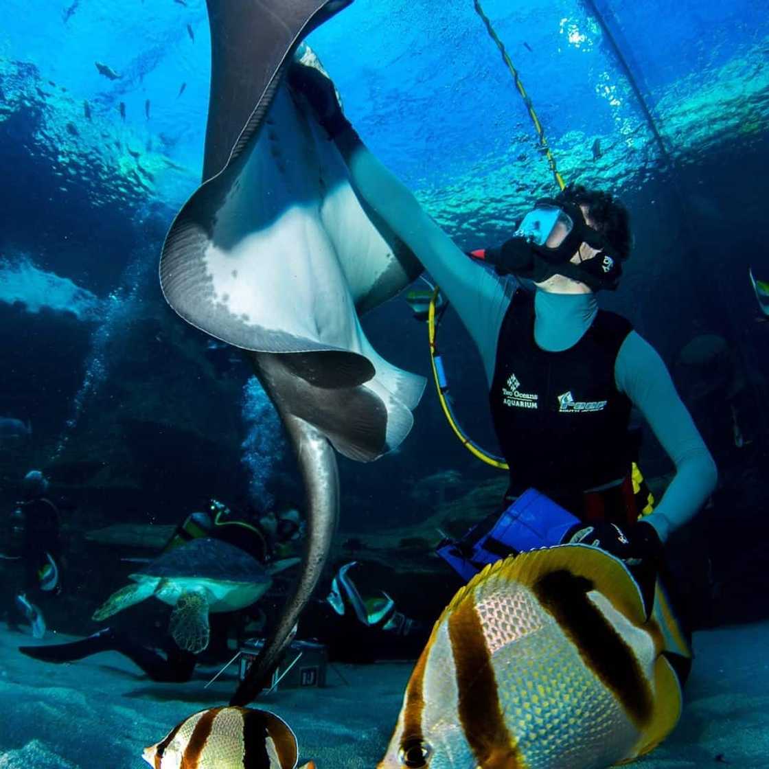 Two Oceans Aquarium Two Oceans Aquarium