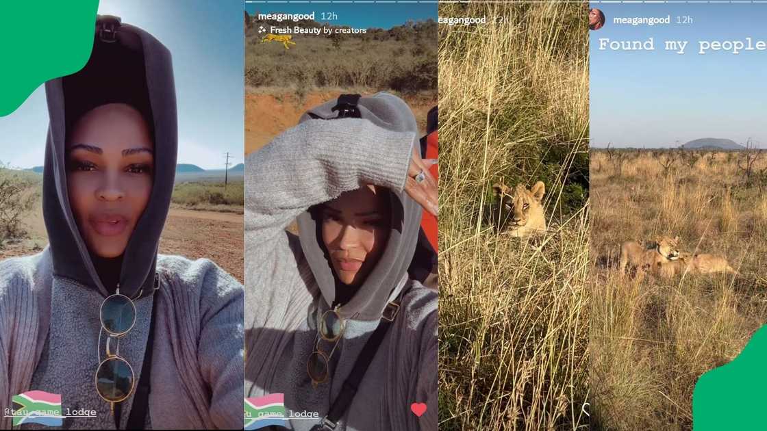 Actress hosted the Dreamers Festival in SA and Botswana Actress hosted the Dreamers Festival in SA and Botswana