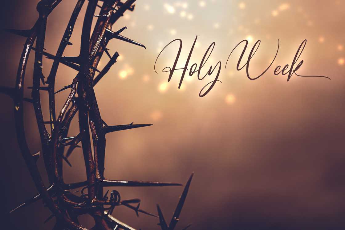 Holy Week crown of thorns background. Holy Week crown of thorns background.