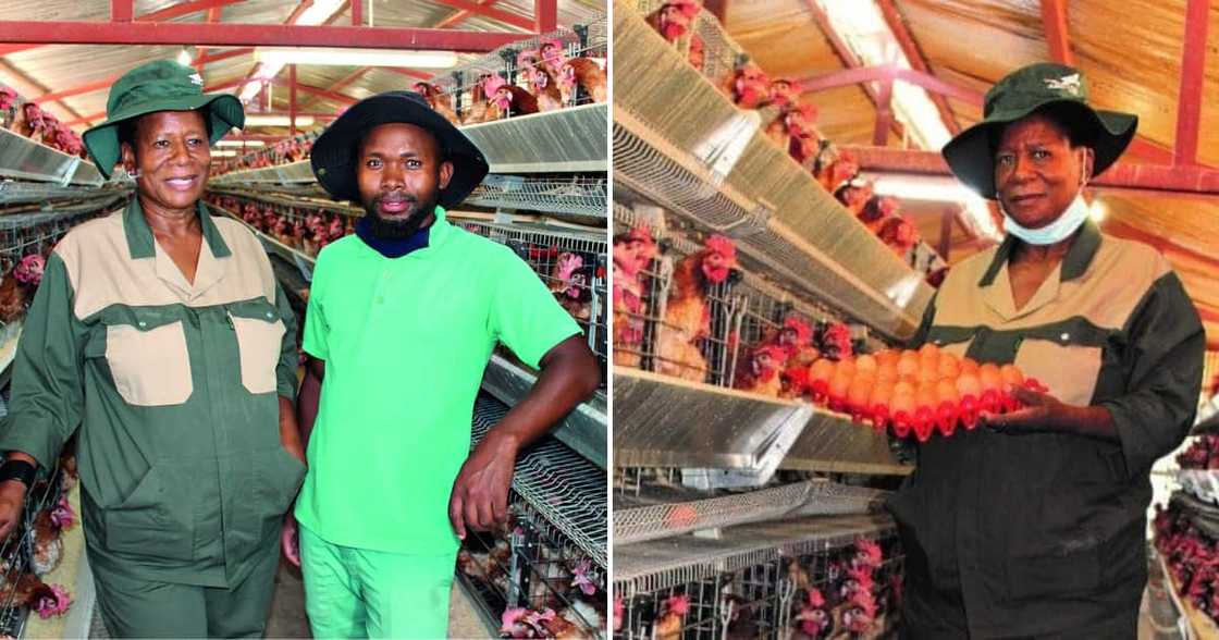 A hard-working woman is grinding hard with her farming business A hard-working woman is grinding hard with her farming business