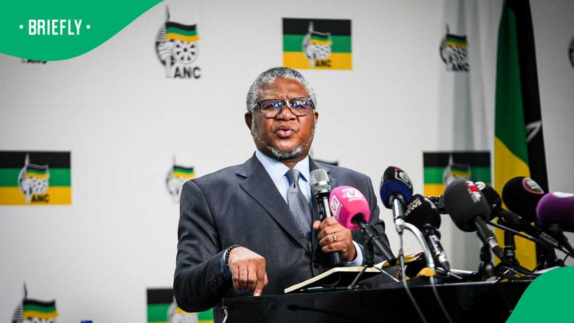 African National Congress Secretary-General Fikile Mbalula weighed in on March and March's anti-illegal immigration protests African National Congress Secretary-General Fikile Mbalula weighed in on March and March's anti-illegal immigration protests