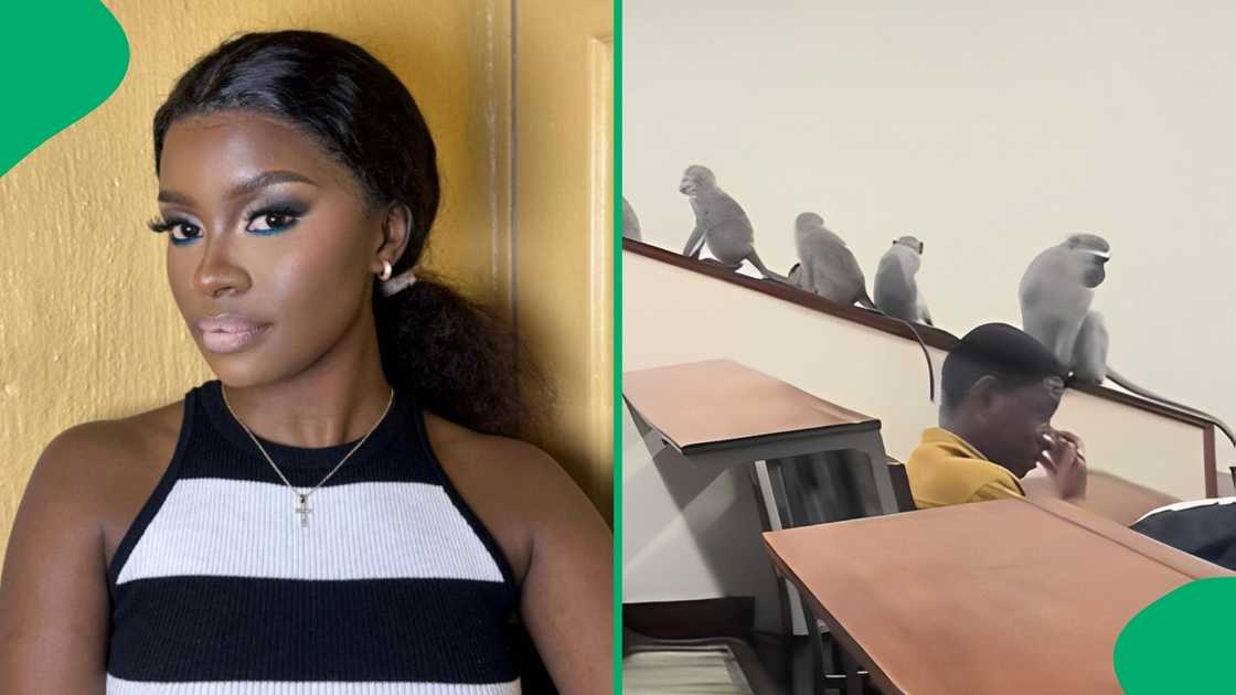 A TikTok user got the online community asking her question after seeing her classroom visited by mammals A TikTok user got the online community asking her question after seeing her classroom visited by mammals