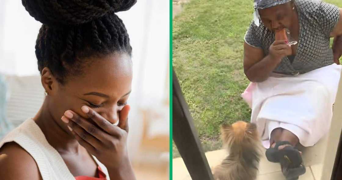 A granny fed her pet dog an ice lolly and the TikTok video amused SA people A granny fed her pet dog an ice lolly and the TikTok video amused SA people
