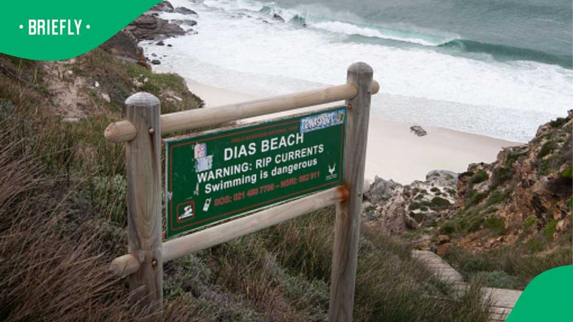 Dias Beach at the Cape Point reserve in Cape Town, South Africa. Dias Beach at the Cape Point reserve in Cape Town, South Africa.