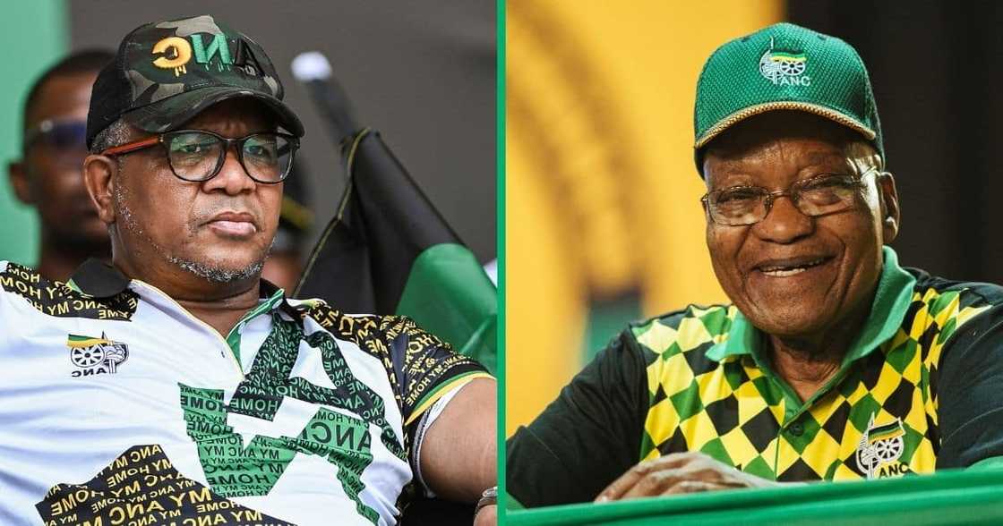 An independent political analyst said the ruling party lacks the bravery to cut ties with its former President, Jacob Zuma.