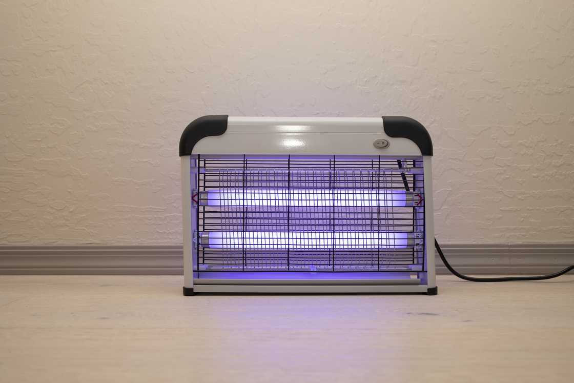 Electric fly zapper with blue purple lights turned on.