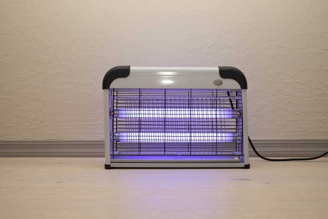 Electric fly zapper with blue purple lights turned on. Electric fly zapper with blue purple lights turned on.