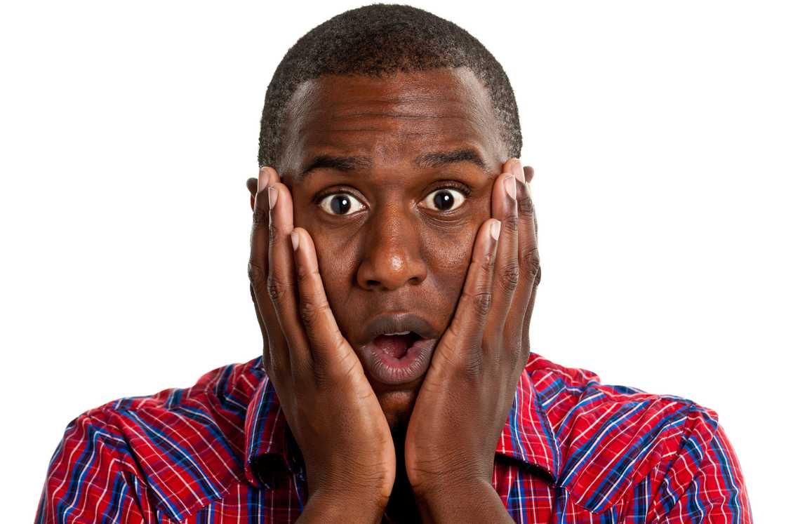 Others were more interested in how the snake managed to climb the traffic light Others were more interested in how the snake managed to climb the traffic light