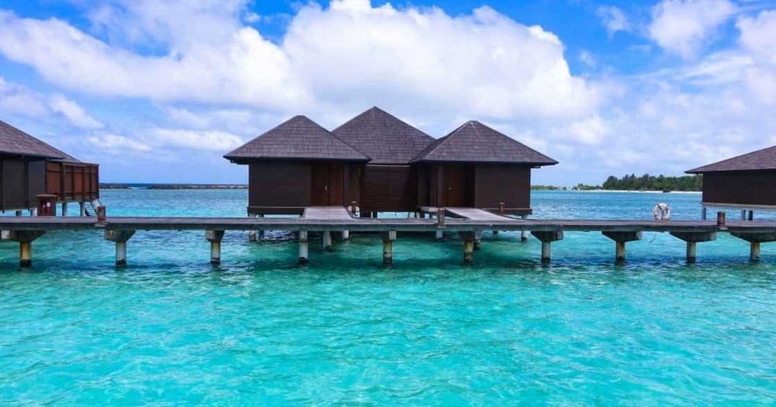 Maldives, Mauritius, South Africa, Covid-19, Omicron, coronavirus, PCR test, travel ban, travel restrictions Maldives, Mauritius, South Africa, Covid-19, Omicron, coronavirus, PCR test, travel ban, travel restrictions