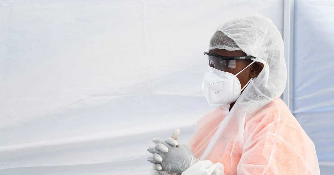 coronavirus coronavirus