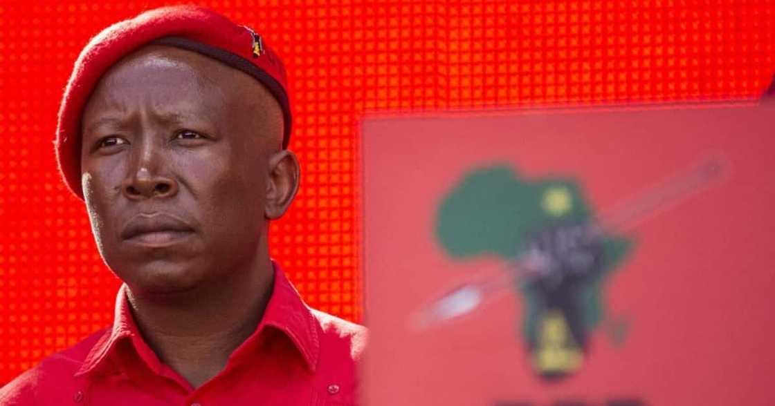 Economic Freedom Fighters, EFF, Democratic Alliance, DA, Julius, workers, inspection