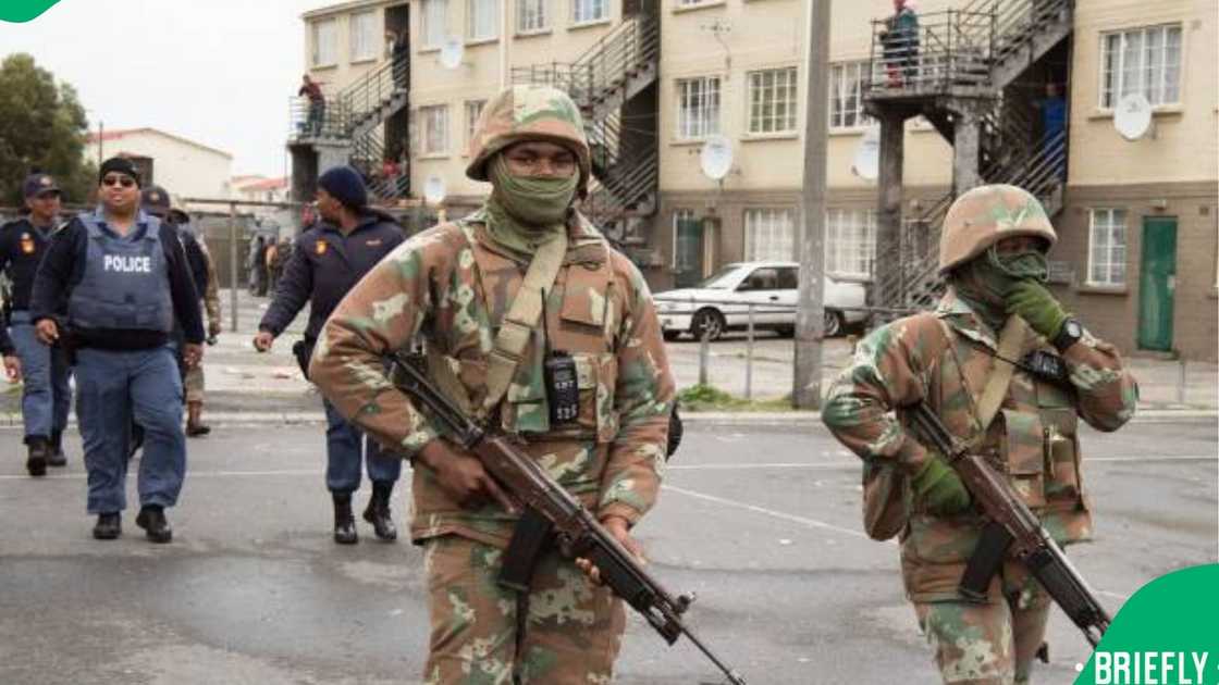 gang violence gang violence