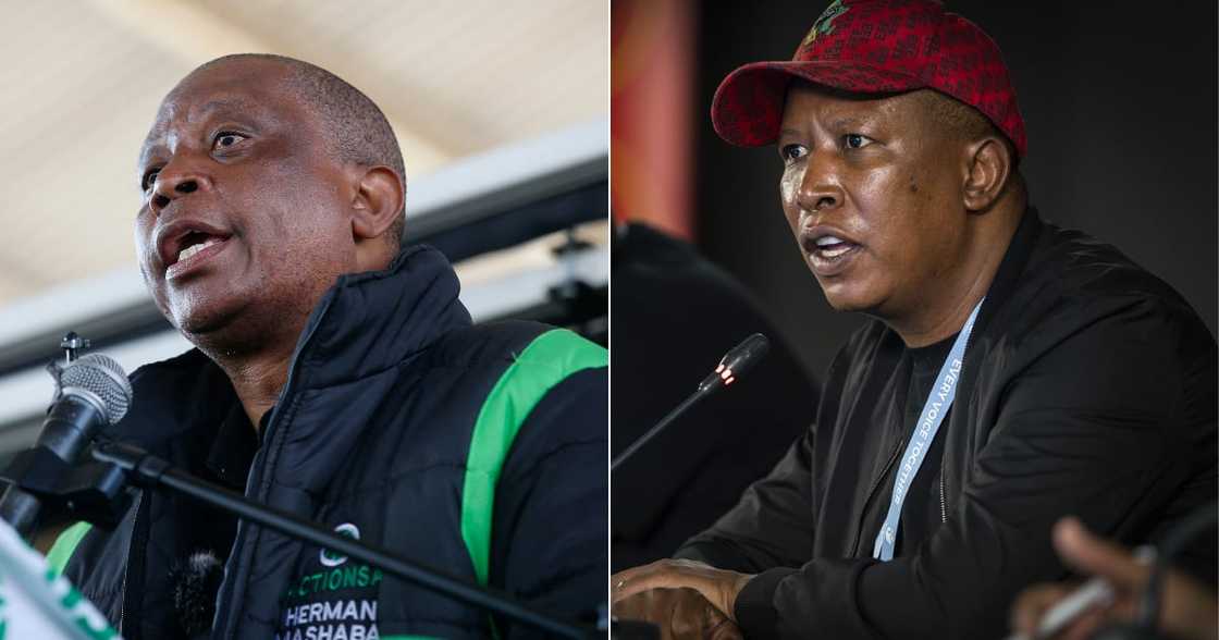 ActionSA, EFF Coalition, ANC, Gauteng, Johannesburg, Tshwane, Ekurhuleni ActionSA, EFF Coalition, ANC, Gauteng, Johannesburg, Tshwane, Ekurhuleni