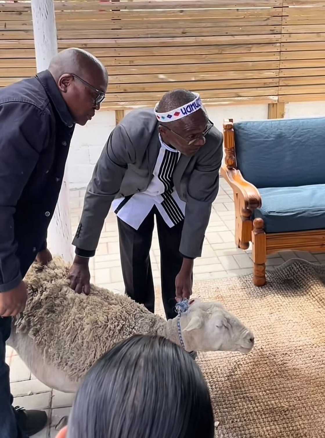 Social media influencer Judy unveiled Part 3 of her traditional wedding series, and South Africans are absolutely loving it. Social media influencer Judy unveiled Part 3 of her traditional wedding series, and South Africans are absolutely loving it.