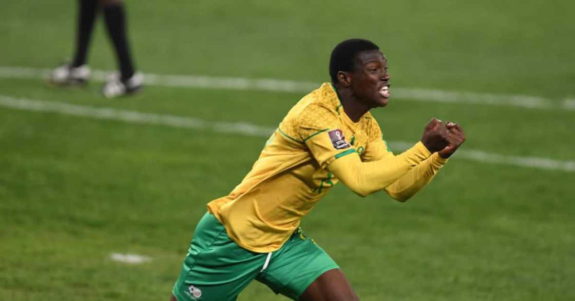 Bafana Bafana, Ethiopia, World Cup Qualifiers, FNB Stadium, Ghana, Ethiopia, Zimbabwe, Fans, Supporters, Covid 19