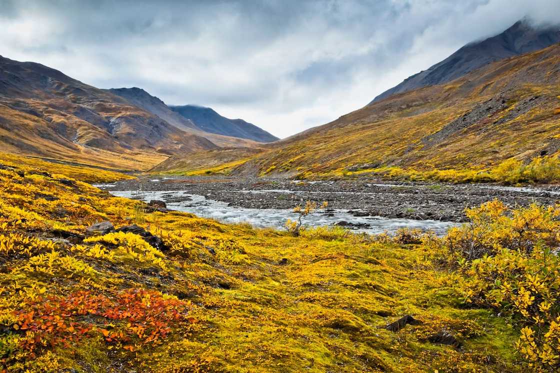 World's largest parks